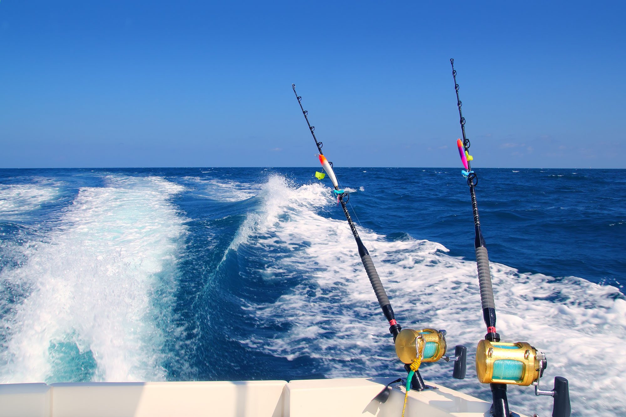 Two heavy-duty fishing rods set up for trolling off the back of a boat in deep-sea waters near Shoalhaven Heads.