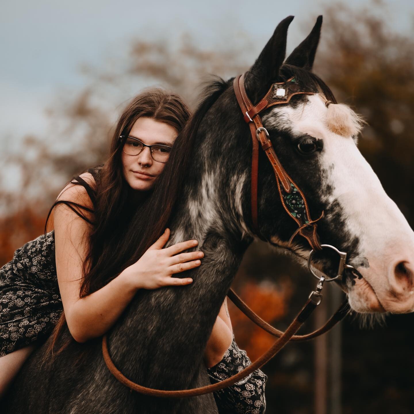 Maverick is such a pretty sweet boy!! 

Amy Post Craig (my aunt) had tagged me in a post and I of course was happy to help! You see, this guy has been having some health things that made it uncertain how well he would fair in the long run. He&rsquo;s