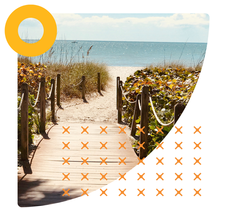 A sandy boardwalk path leading through dune plants to the beach