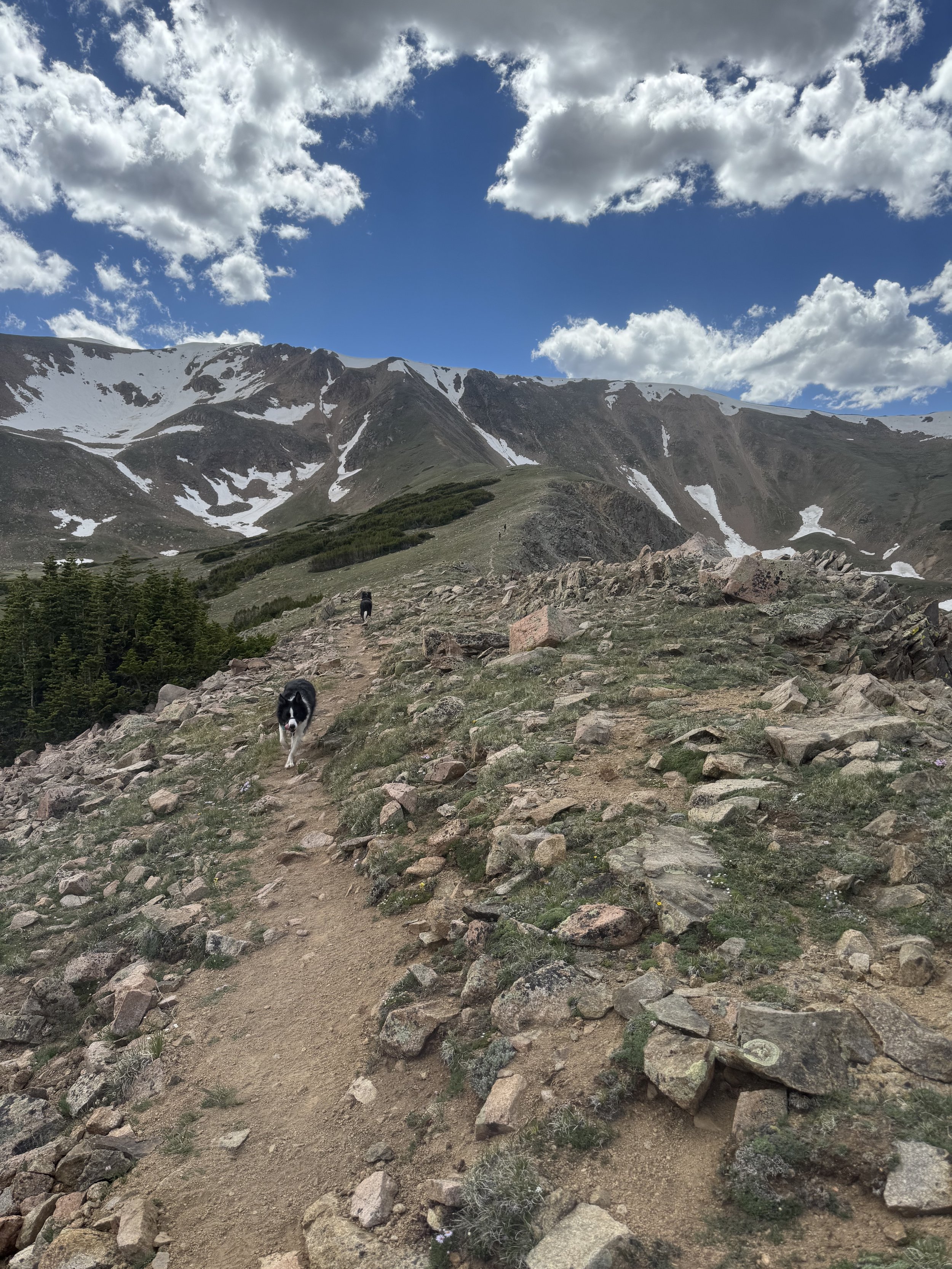 Sneaky Ways You Under-Fuel as a Mountain Athlete
