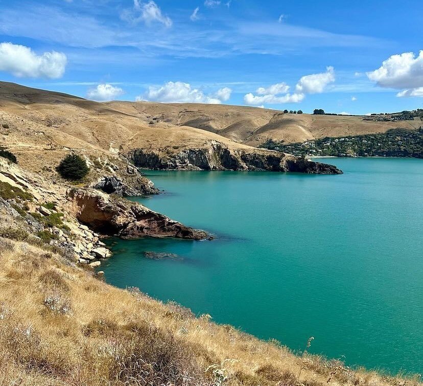 @craterrimwalks shows many of our cruise ship and other visitors the absolute beauty of Whakaraupo. Keeping our tourists healthy and inspired with a hike in stunning scenery!