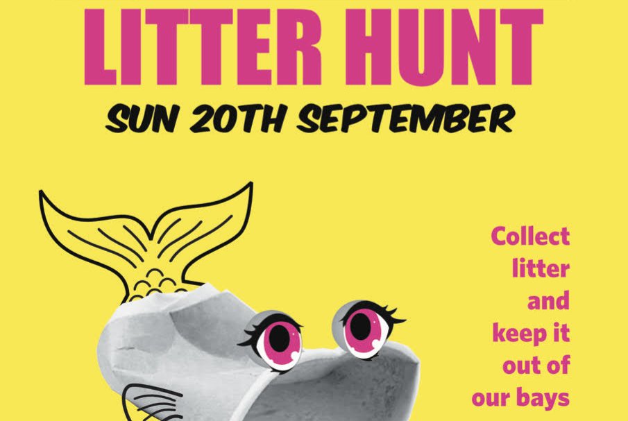 Lyttelton's Great Litter Hunt