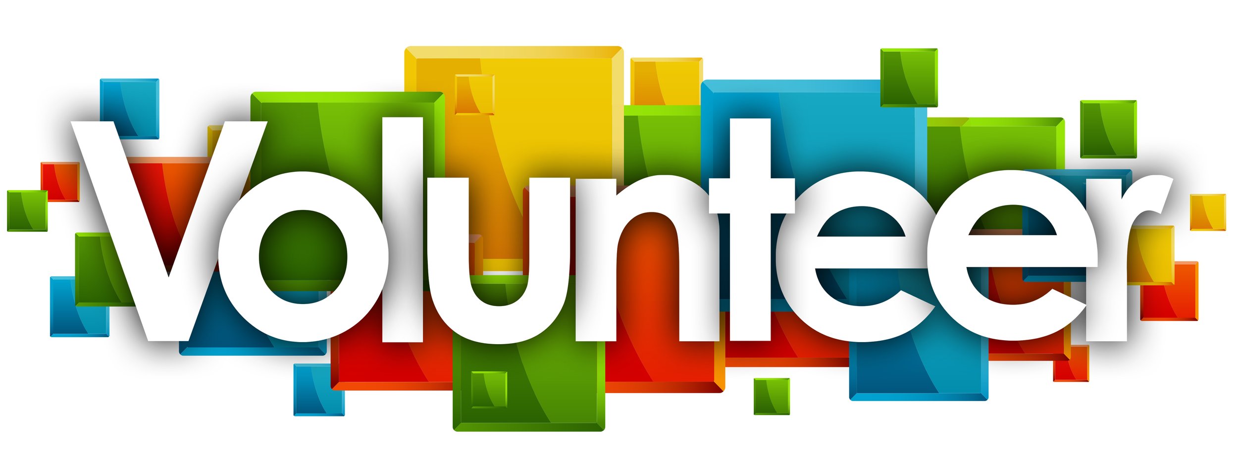 Volunteers 2024 — Dancing Turtle Arts Festival