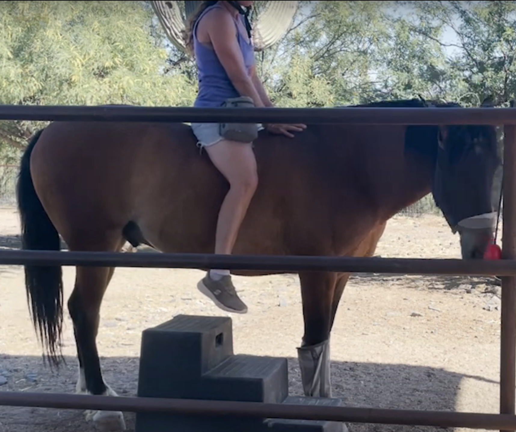 Screenshot 2023-09-04 at 6.49.43 PM.png