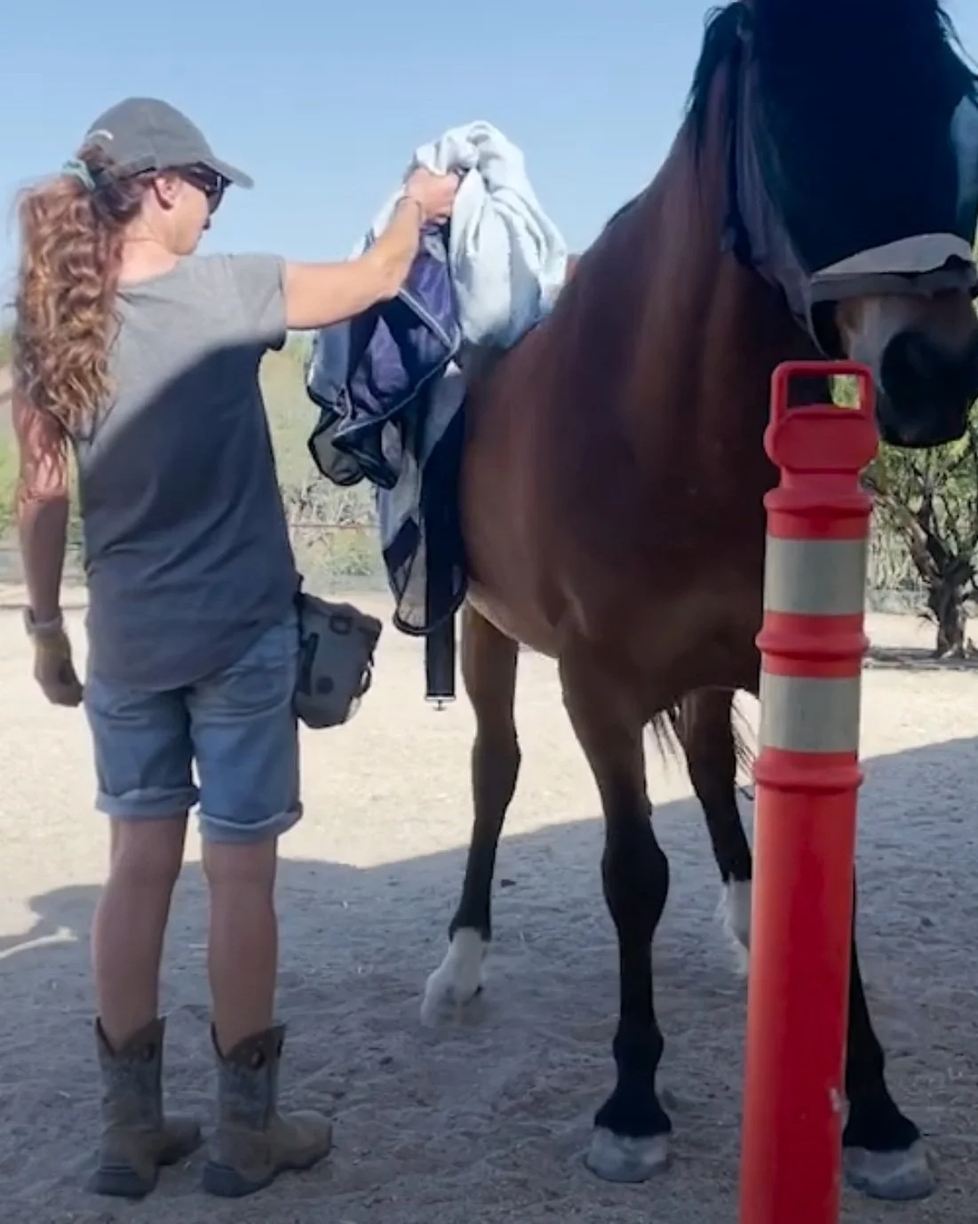 Screenshot 2023-09-04 at 12.36.02 PM.jpg