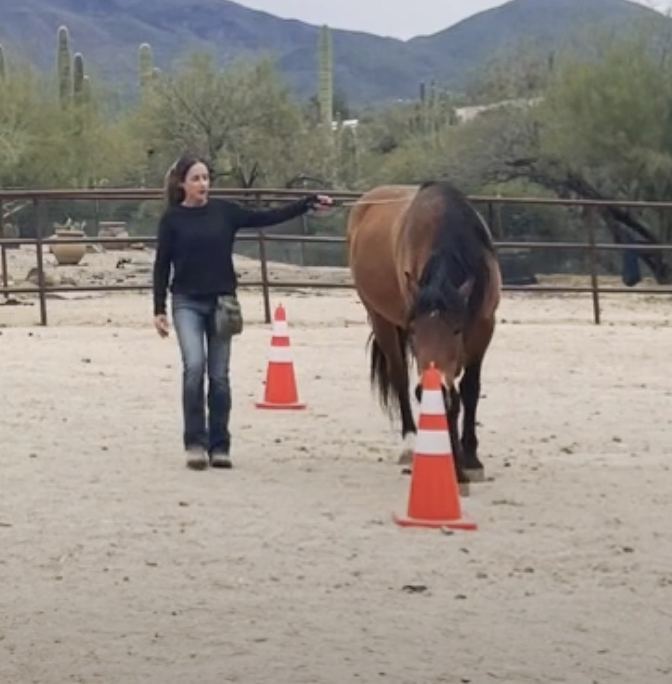 Screenshot 2023-09-03 at 10.50.35 AM.png