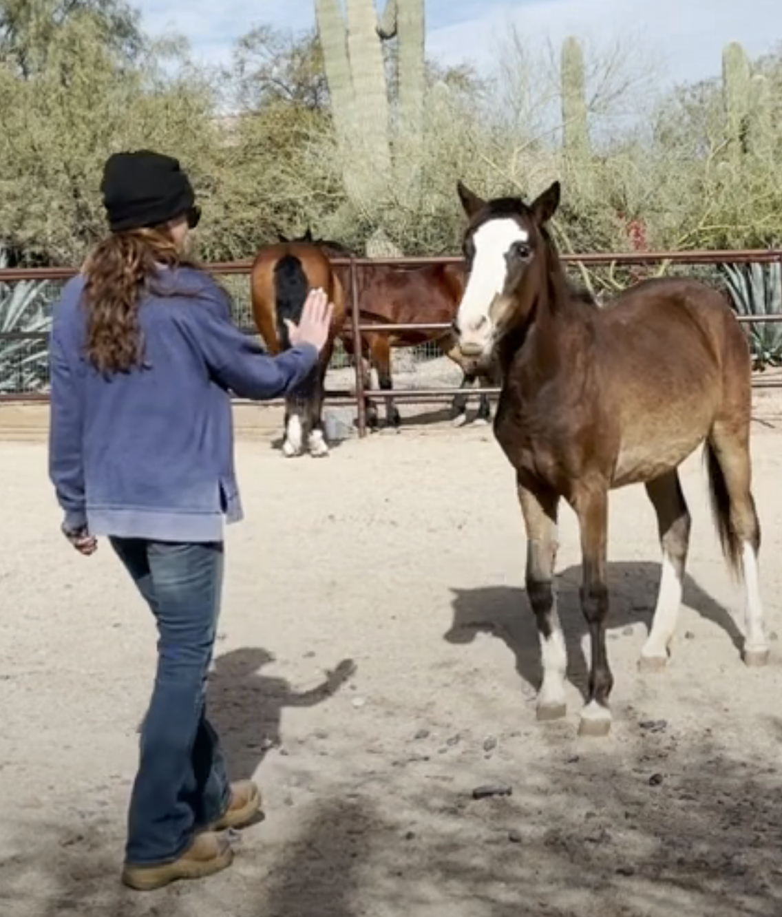 Screenshot 2023-09-10 at 11.20.38 AM.png