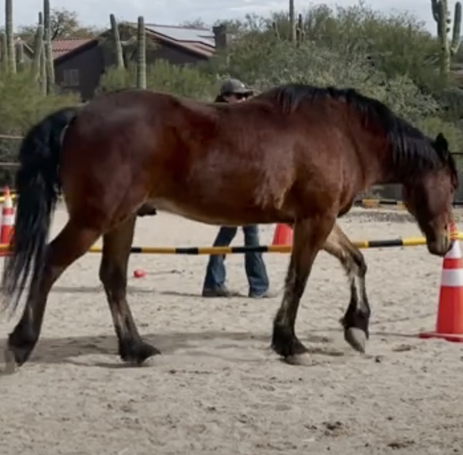 Screenshot 2023-09-09 at 11.03.07 AM.png