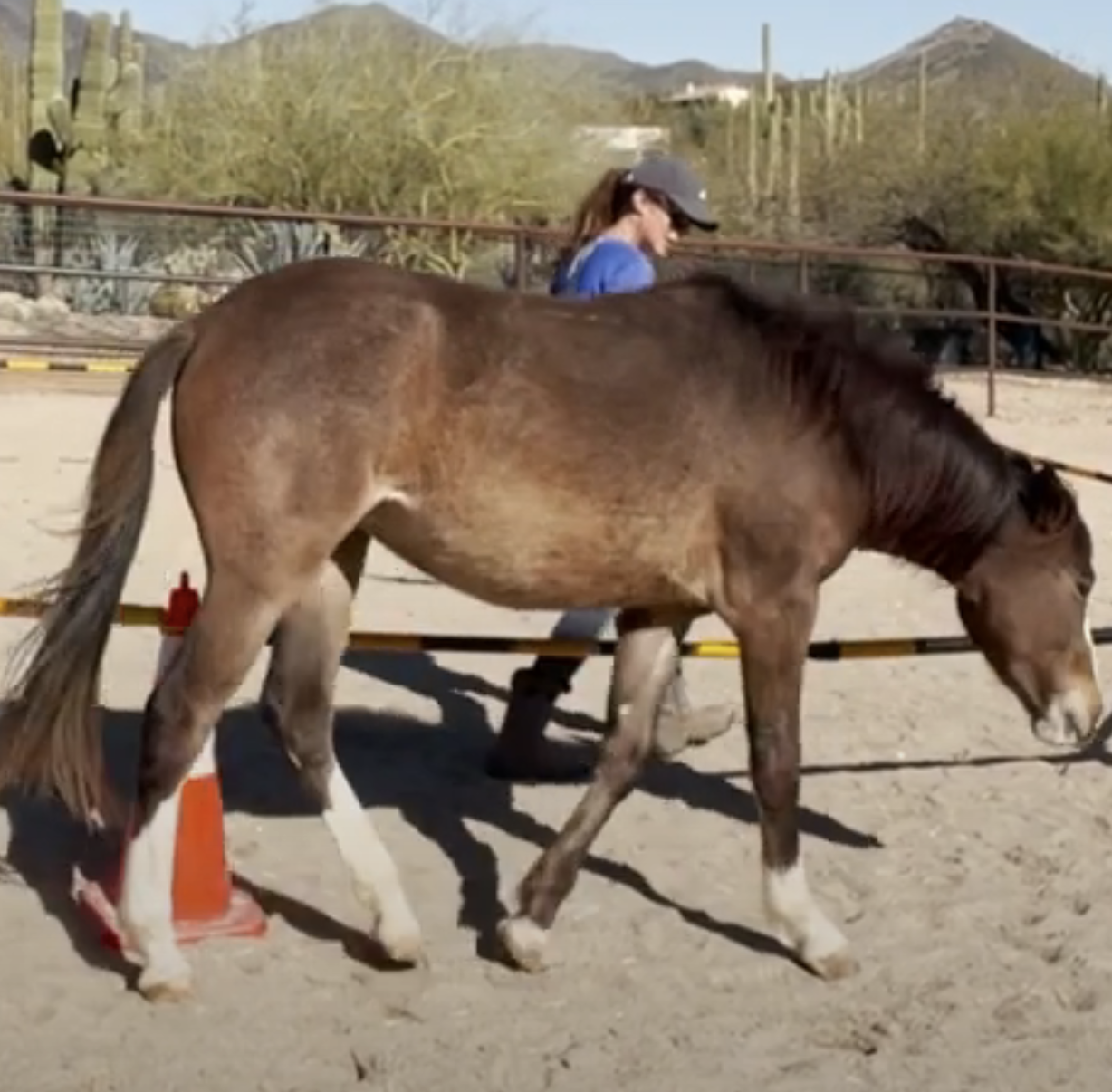 Screenshot 2023-09-10 at 11.39.24 AM.png