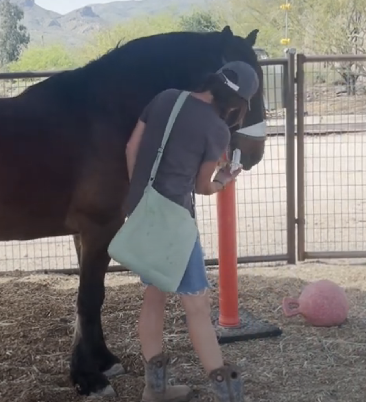 Screenshot 2023-09-09 at 3.26.43 PM.png