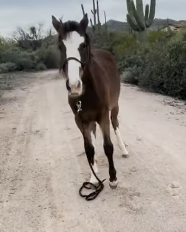 Screenshot 2023-09-10 at 11.10.42 AM.png