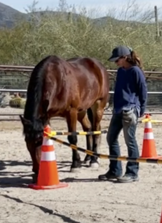 Screenshot 2023-09-09 at 9.34.26 AM.png