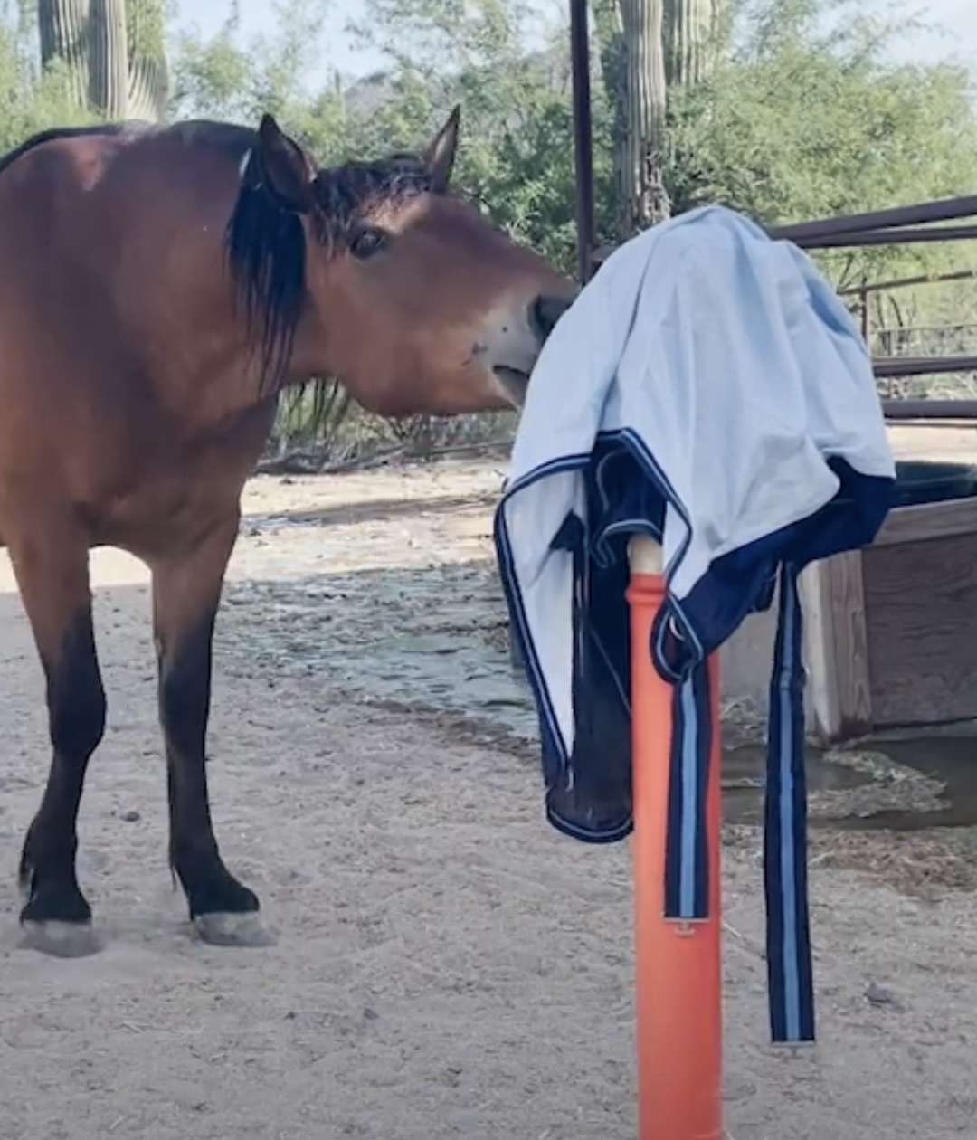 Screenshot 2023-09-04 at 12.31.49 PM.png