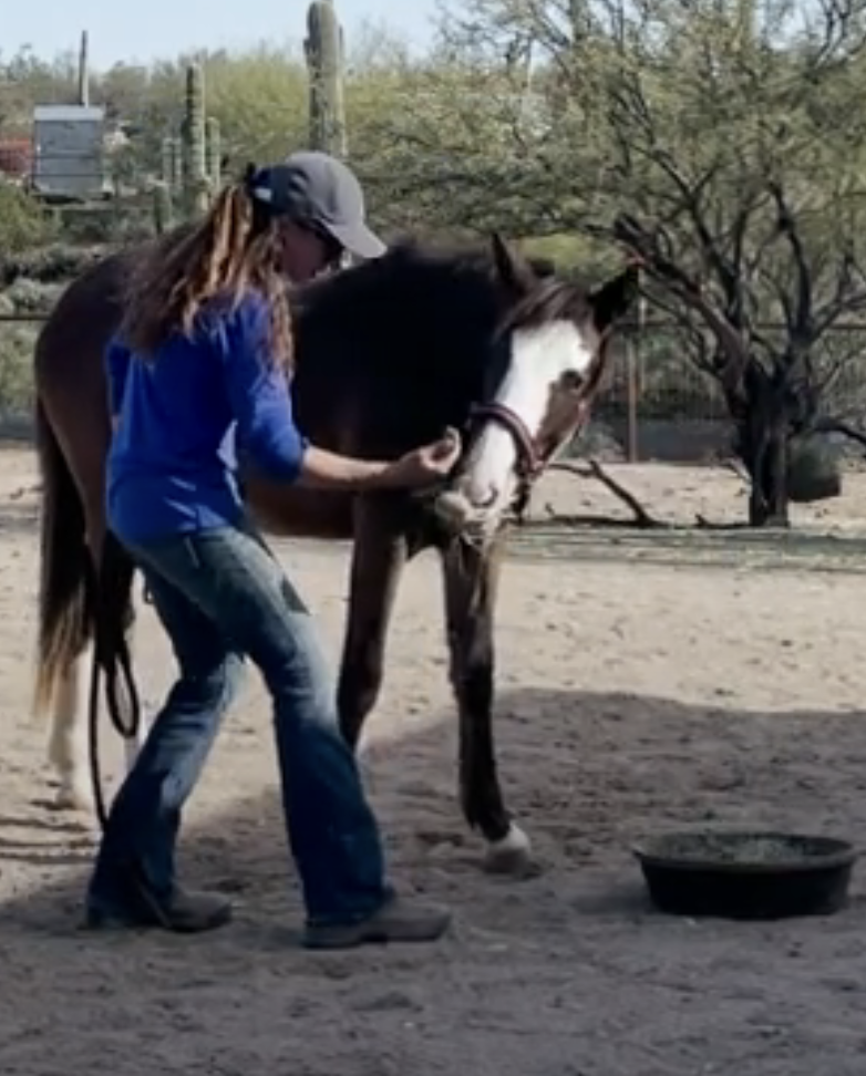 Screenshot 2023-09-10 at 2.19.08 PM.png