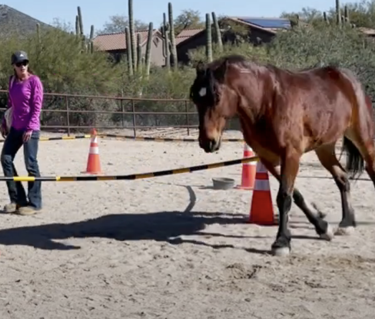 Screenshot 2023-09-09 at 9.49.18 AM.png