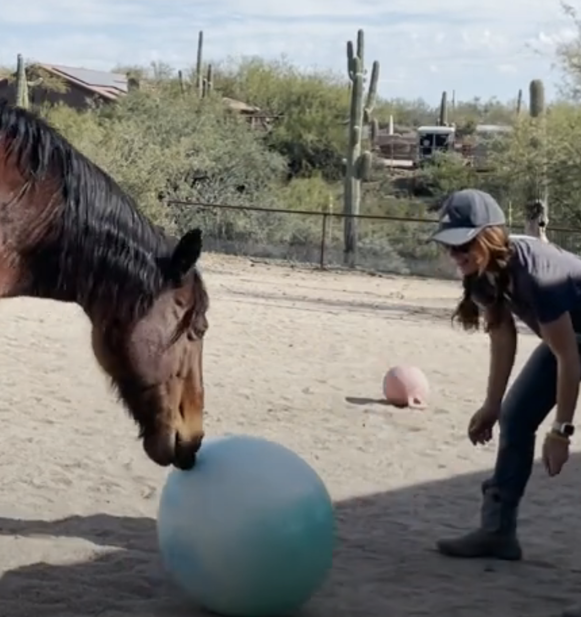 Screenshot 2023-09-09 at 10.12.02 AM.png