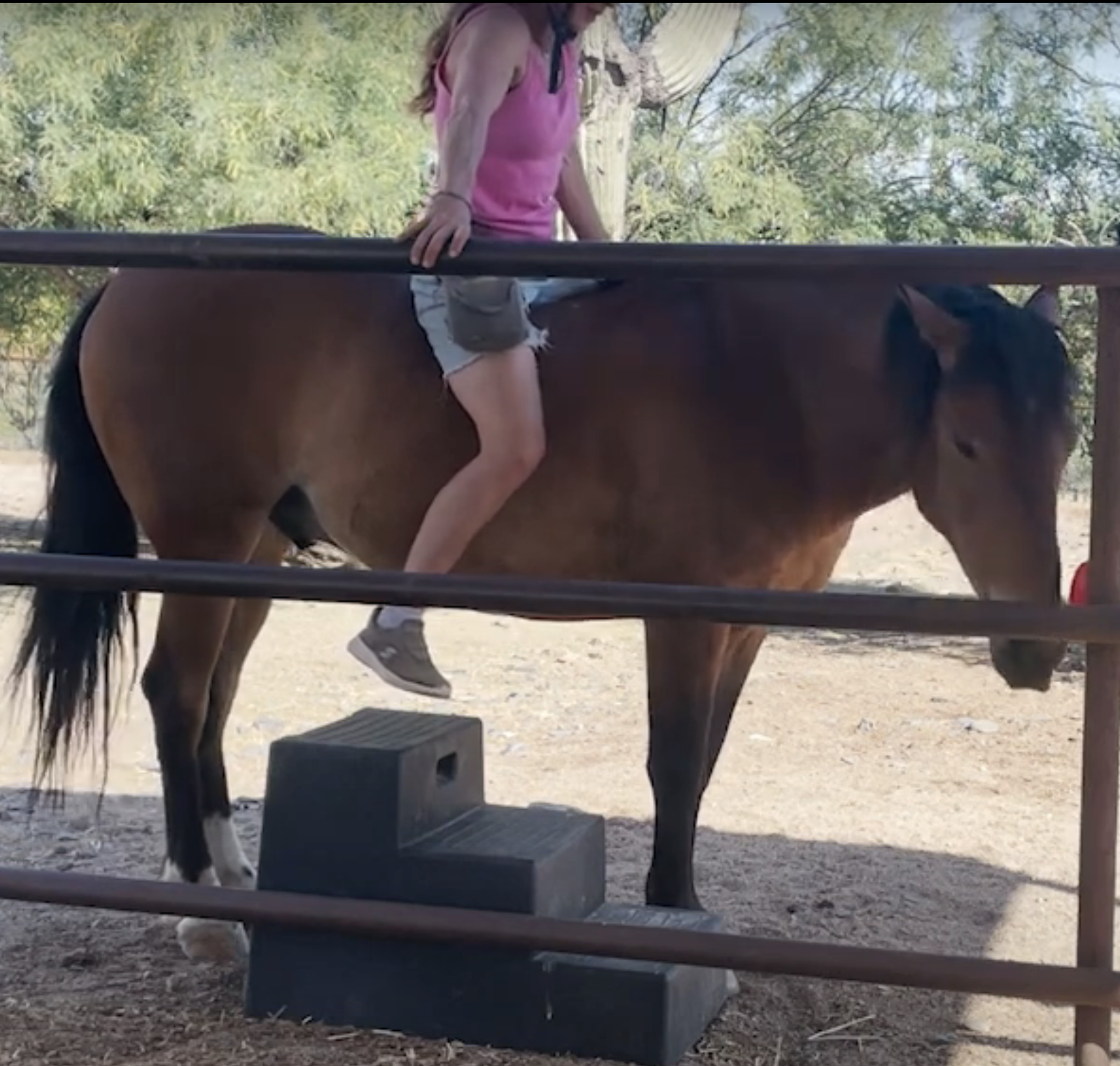 Screenshot 2023-09-04 at 6.47.42 PM.png