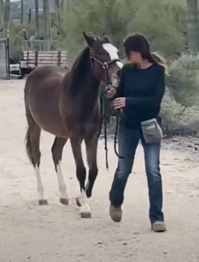 Screenshot 2023-09-10 at 11.03.18 AM.png