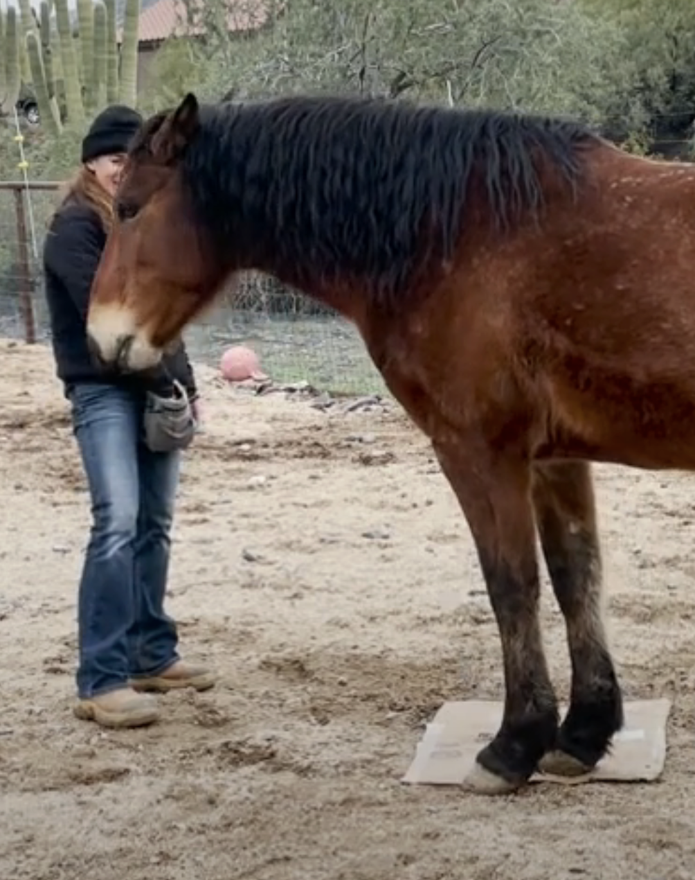 Screenshot 2023-09-12 at 5.38.28 PM.png