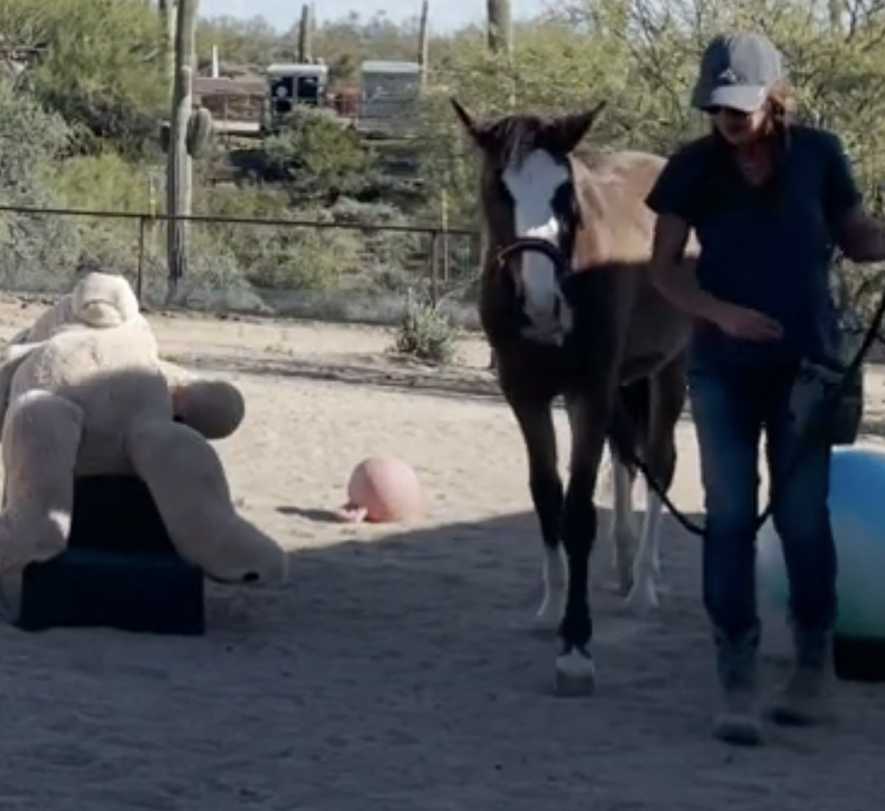 Screenshot 2023-09-10 at 2.14.30 PM.png