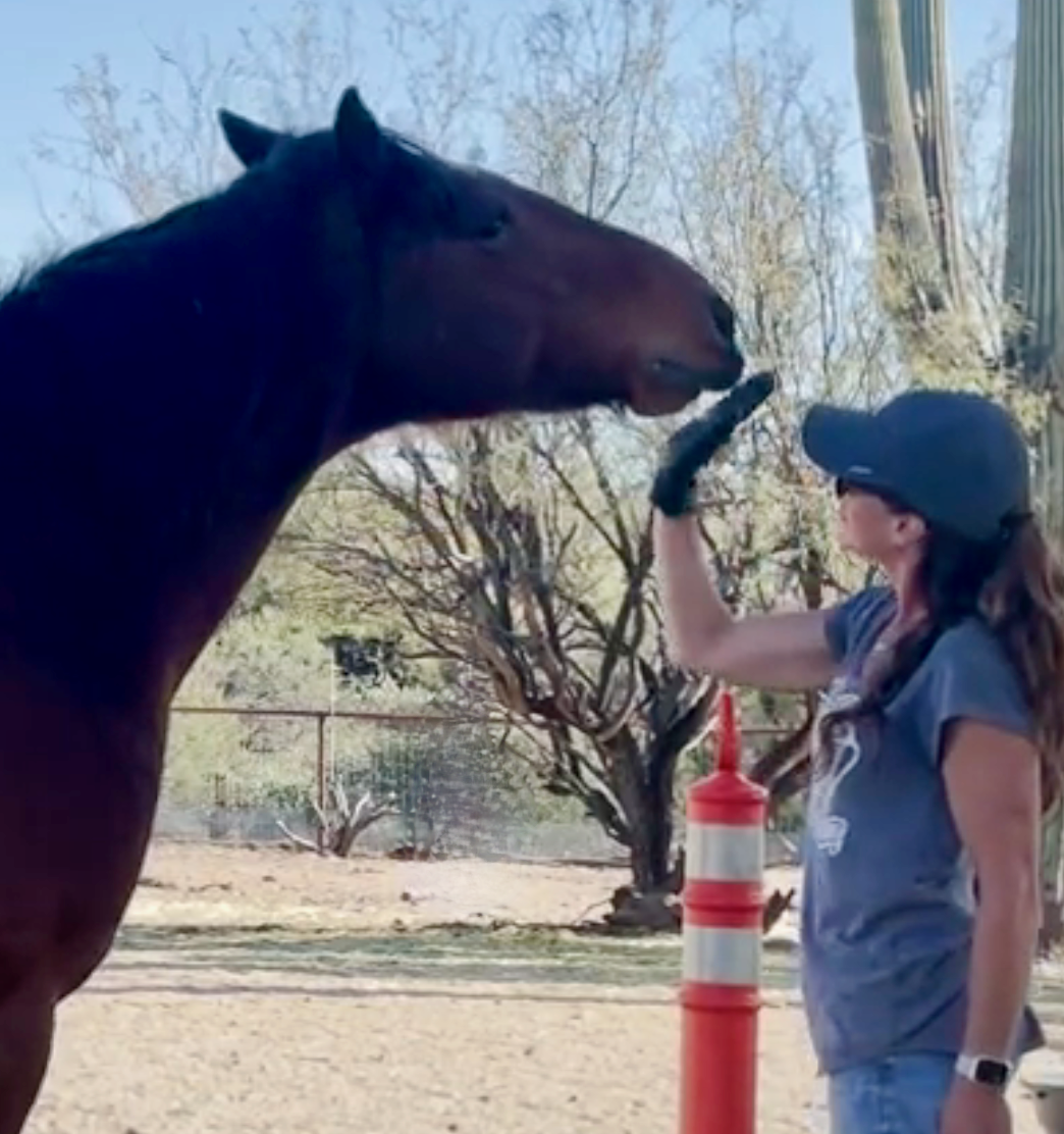 Screenshot 2023-09-09 at 11.40.49 AM.png