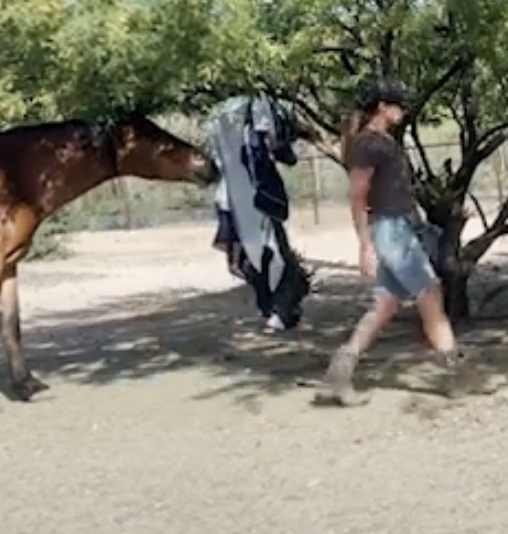 Screenshot 2023-09-04 at 12.34.04 PM.png