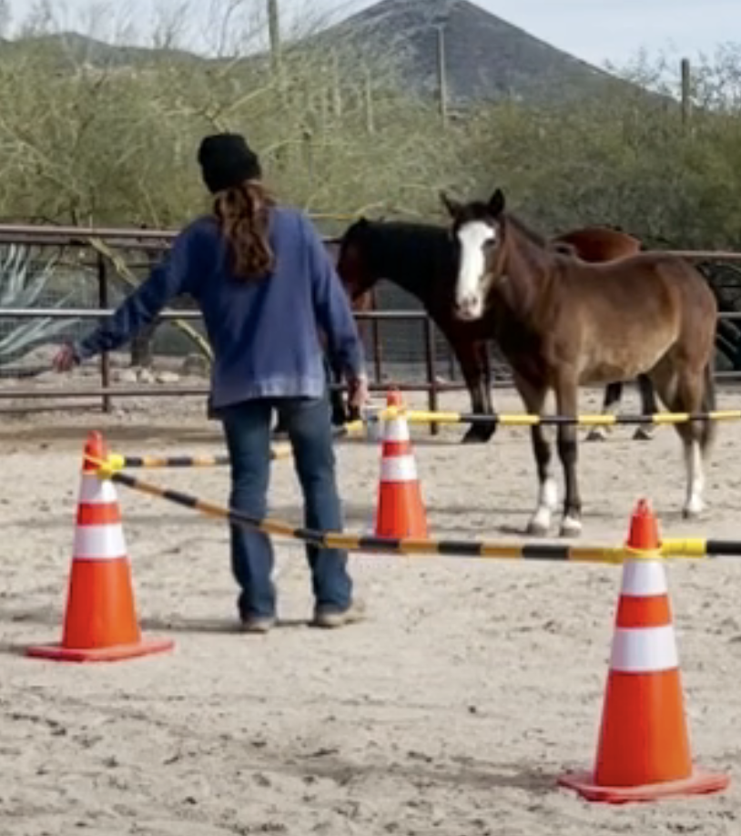 Screenshot 2023-09-10 at 11.16.25 AM.png