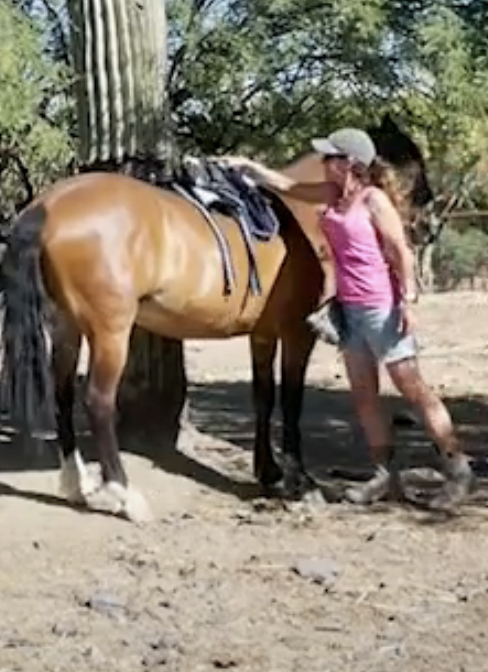 Screenshot 2023-09-04 at 12.37.14 PM.png