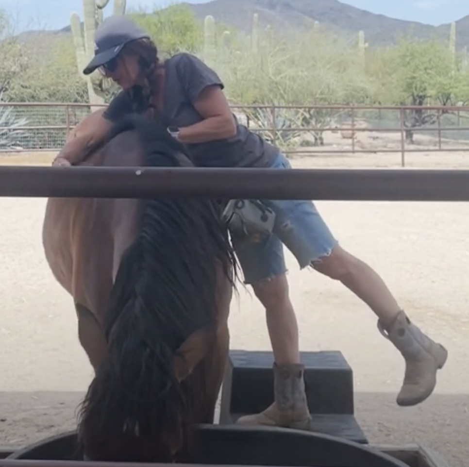 Screenshot 2023-09-03 at 4.53.47 PM.png