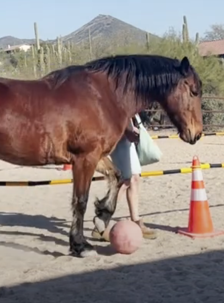 Screenshot 2023-09-09 at 10.05.40 AM.png