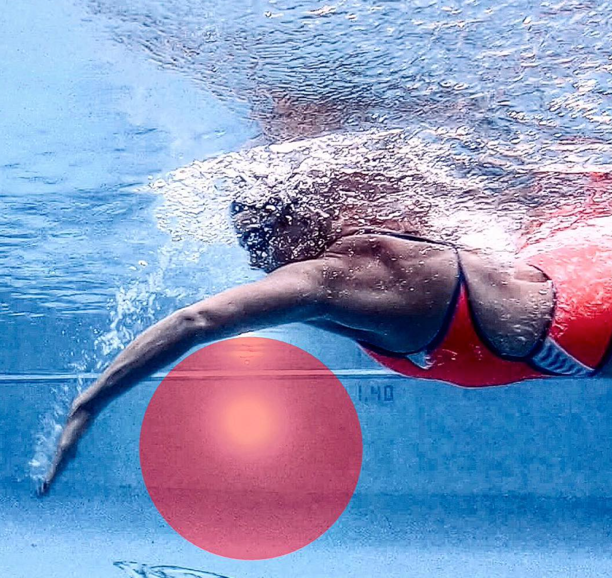 Week 7 of 8: Dive Into Excellence: Mastering Swimming Drills for (Your Own)  Stroke Perfection — Swim Smooth - Your Ultimate Guide to Technique,  Training, and Open Water Swimming