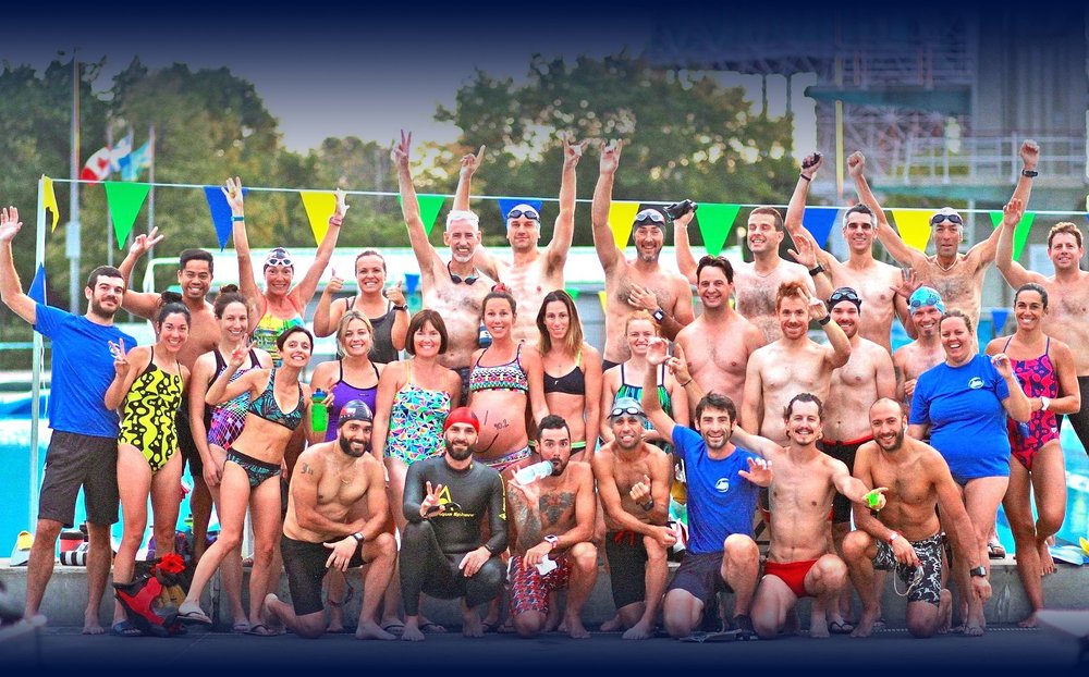 Swim Smooth Your Ultimate Guide to Technique, Training, and Open