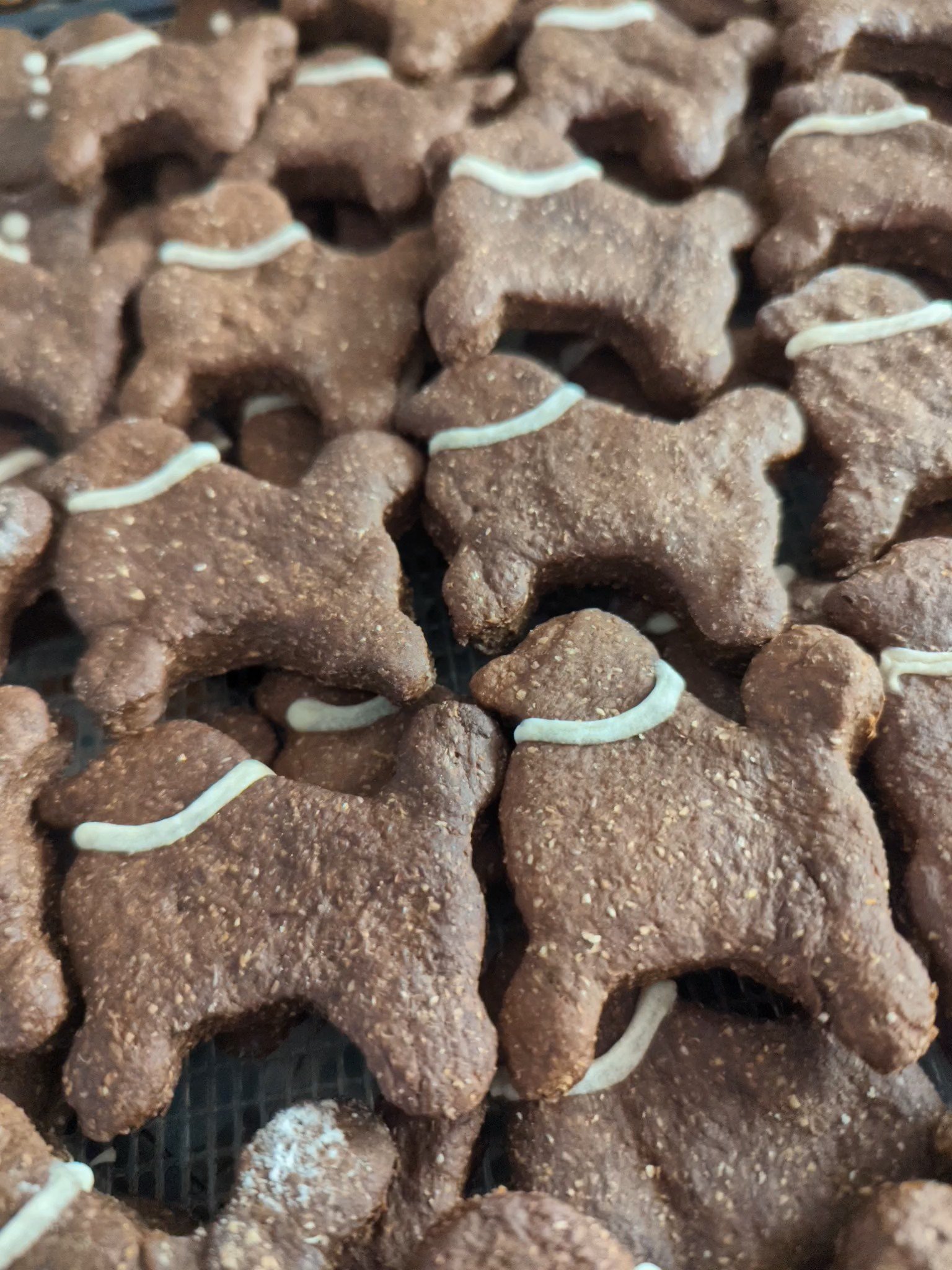 Choc (carob) Dog