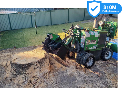 Stump Grinding & Removal - Get A FREE Quote Today