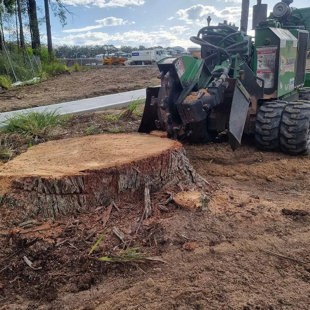 Central Coast Stump Removal - Large Stump Grinding.jpg