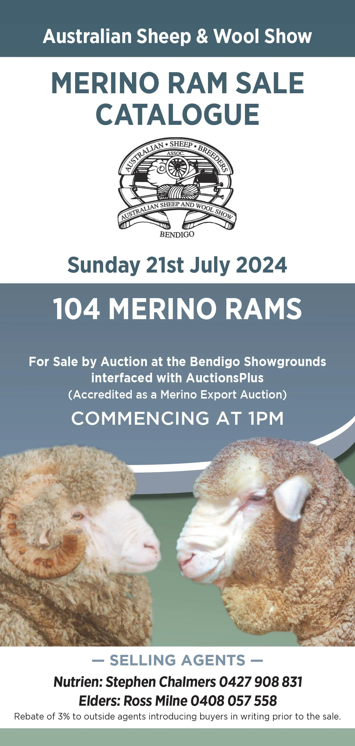 asws-ram-sale-merino-victoria