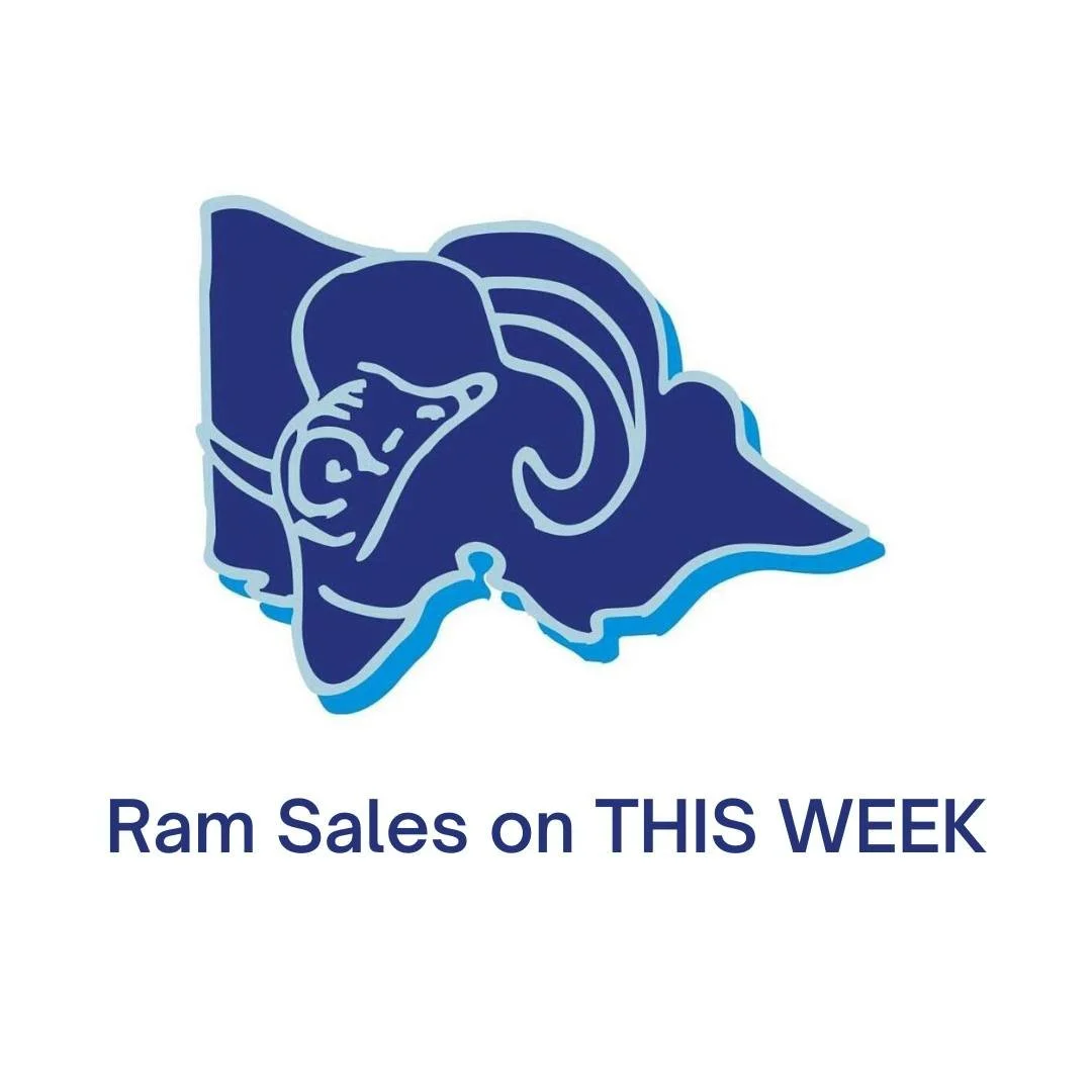 Salt Creek 39th On-Property Ram Sale