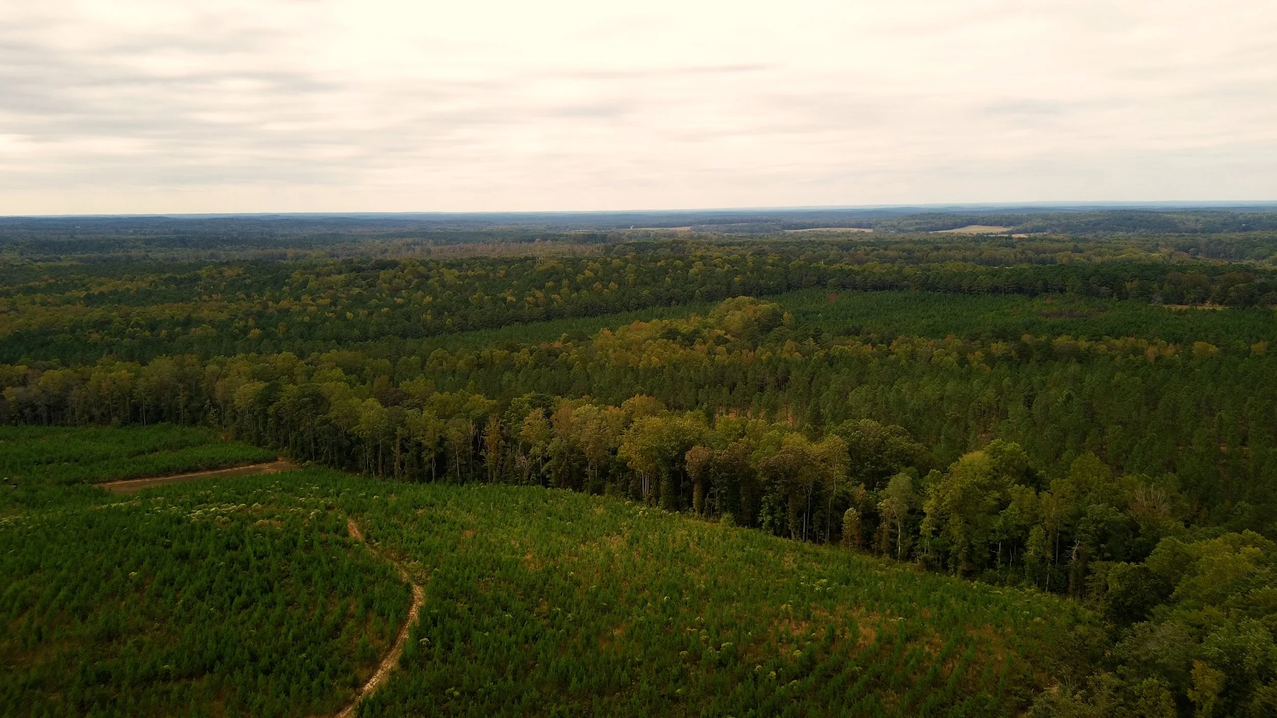 Sequence 01 Copy 011.jpg