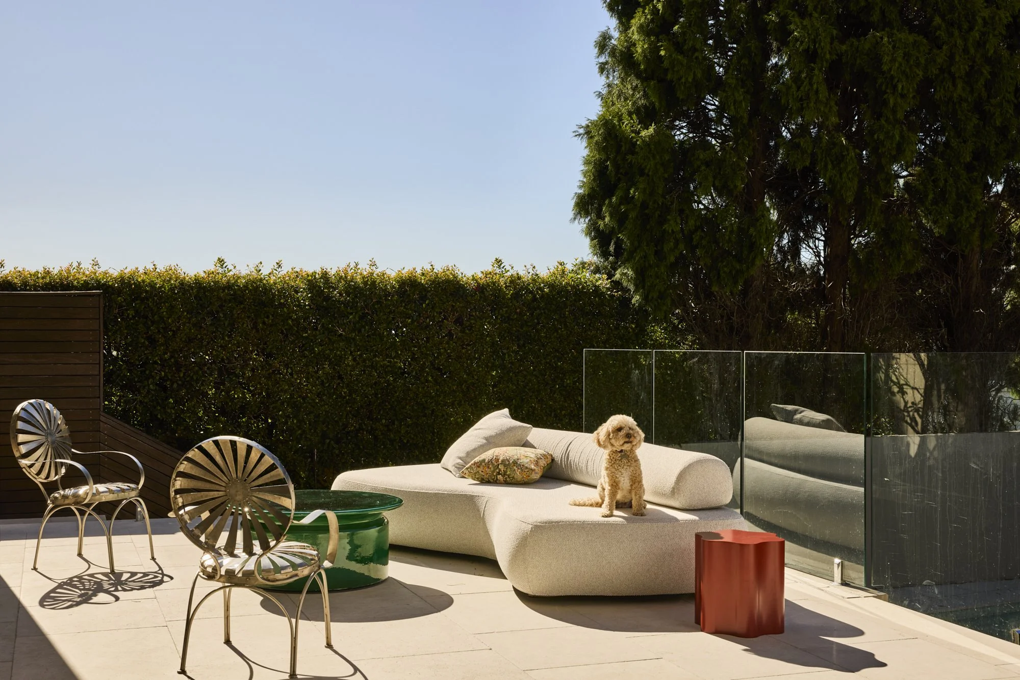 An outdoor patio with modern furniture, including a cream-colored curved sofa with pillows, a green glass-topped table, decorative chairs, and a small brown dog sitting on the sofa. There is a red side table, a hedge, and a large tree in the background under a clear blue sky.
