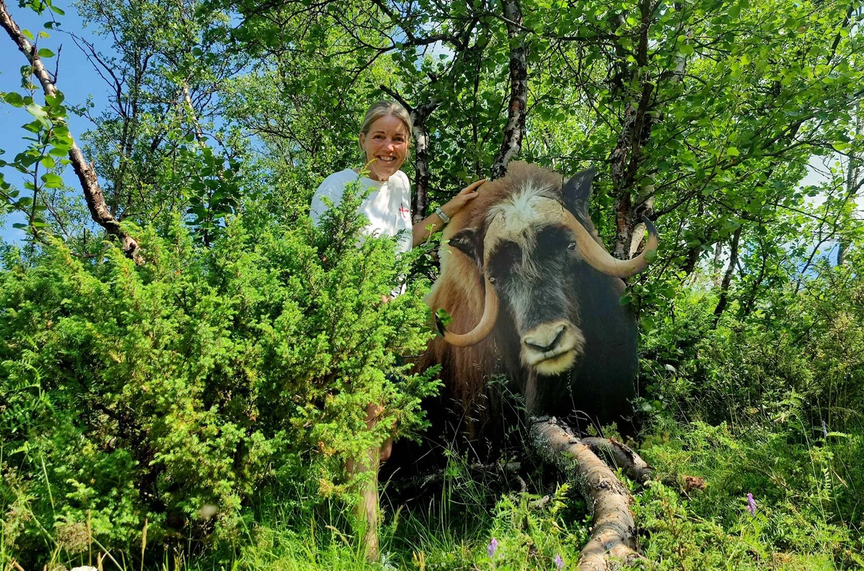 Natursti: Dyrene i Kongsvollskogen