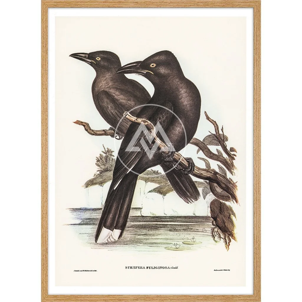 NaturalOakTimber_Brids01.jpg