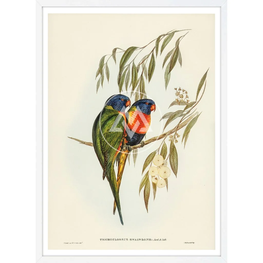 WhiteTimber_Brids28.jpg