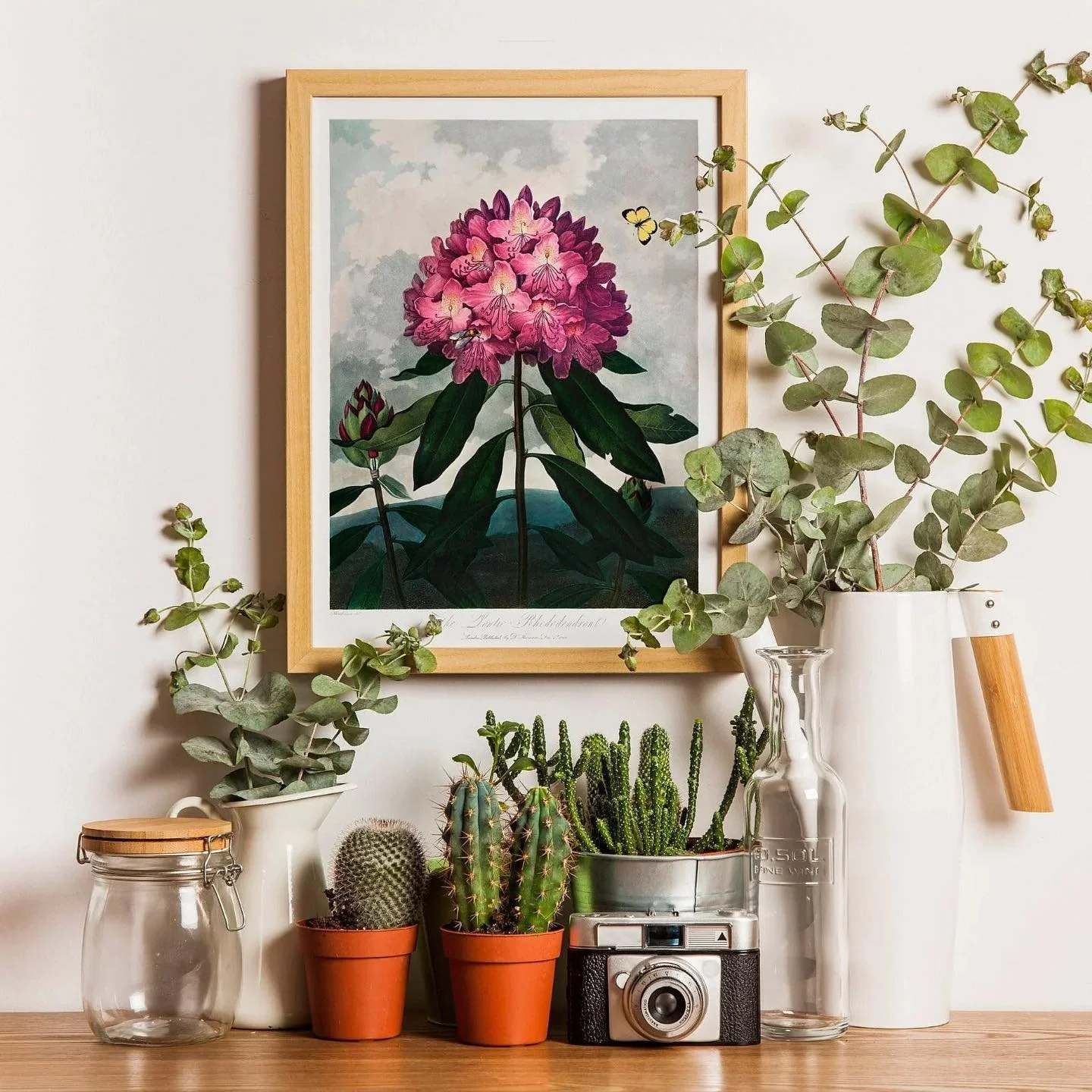 πΈ Find Us at the Rhododendron Festival! πΈ
We’re setting up tomorrow at Blackheath for the annual Rhododendron Festival! πͺβ¨
Browse our curated collection of vintage art prints, décor and treasures — perfect for adding character t
