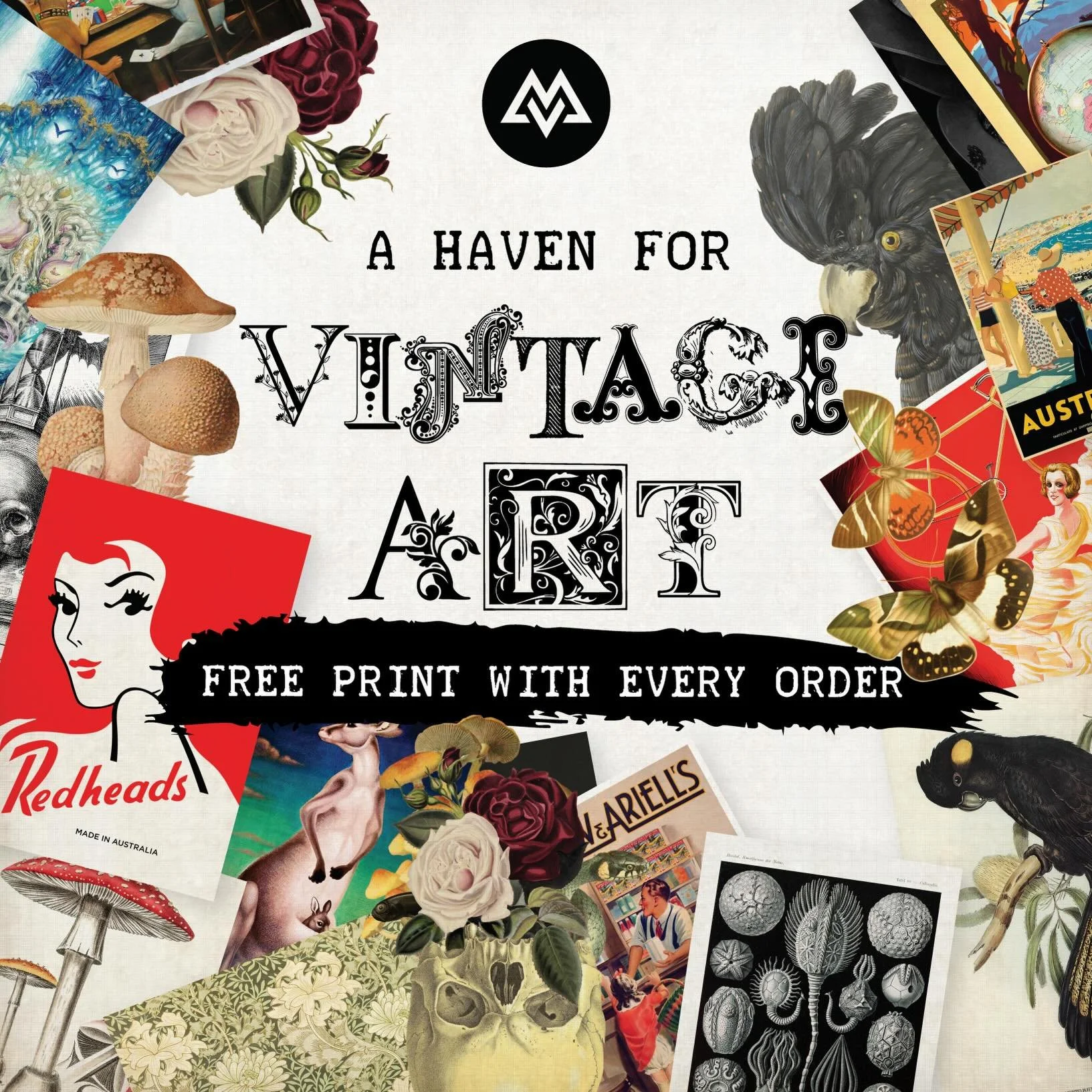 Would you like a FREE artwork print of our bestsellers? All you need to do is purchase anything from our website at it&rsquo;s all yours!
Don&rsquo;t forget to also enter the code &lsquo;EOFY26&rsquo; to get a discount on all online stock.
#mountains