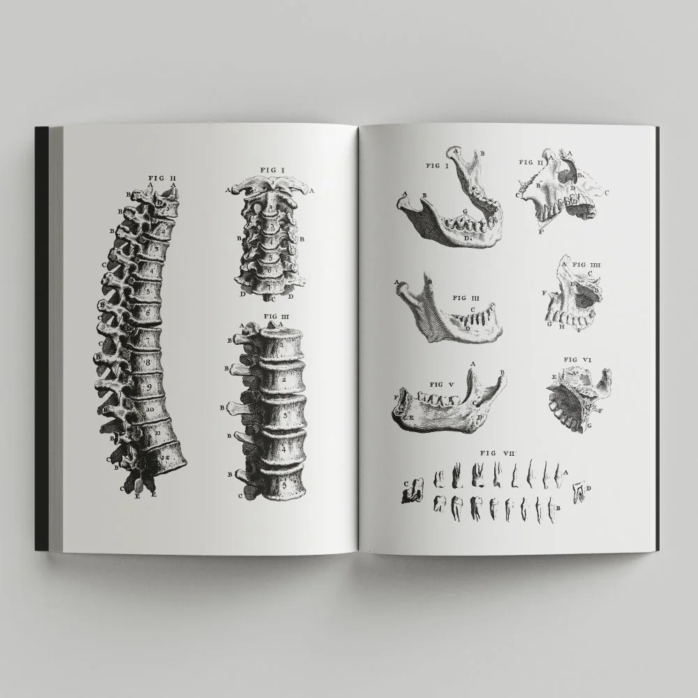 Free_Book_Mockup_6.jpg
