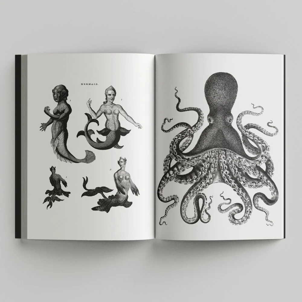 Free_Book_Mockup_4.jpg