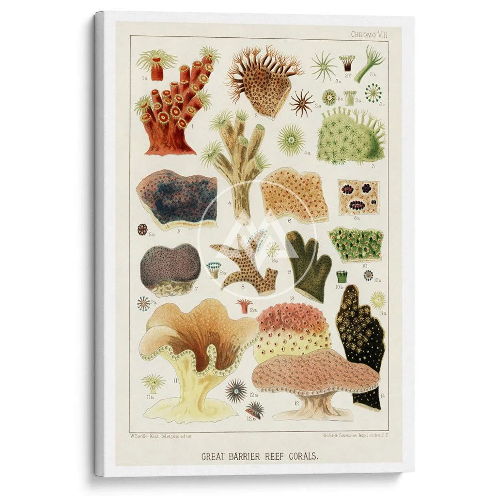 CanvasPrint_FF38.jpg