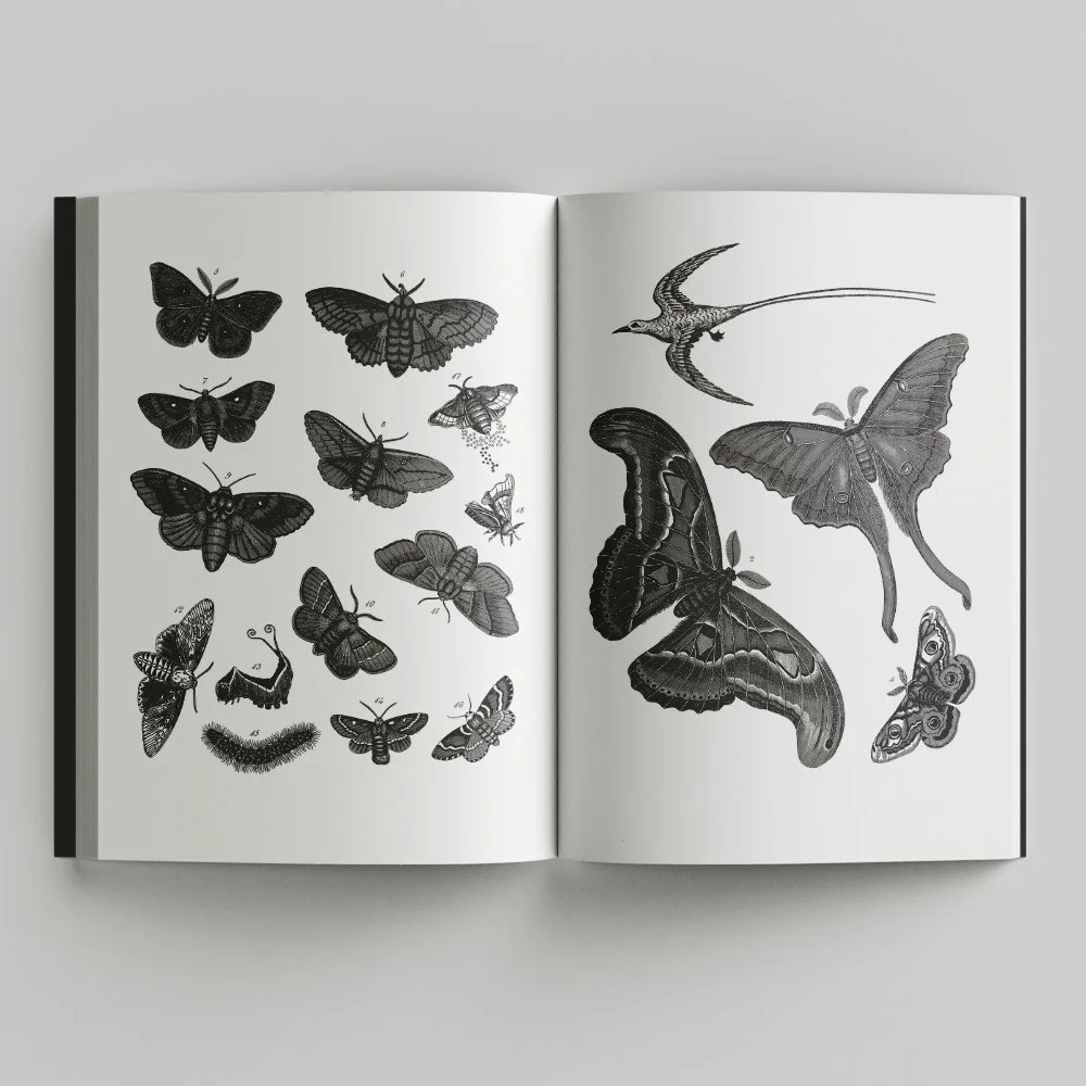Free_Book_Mockup_5.jpg
