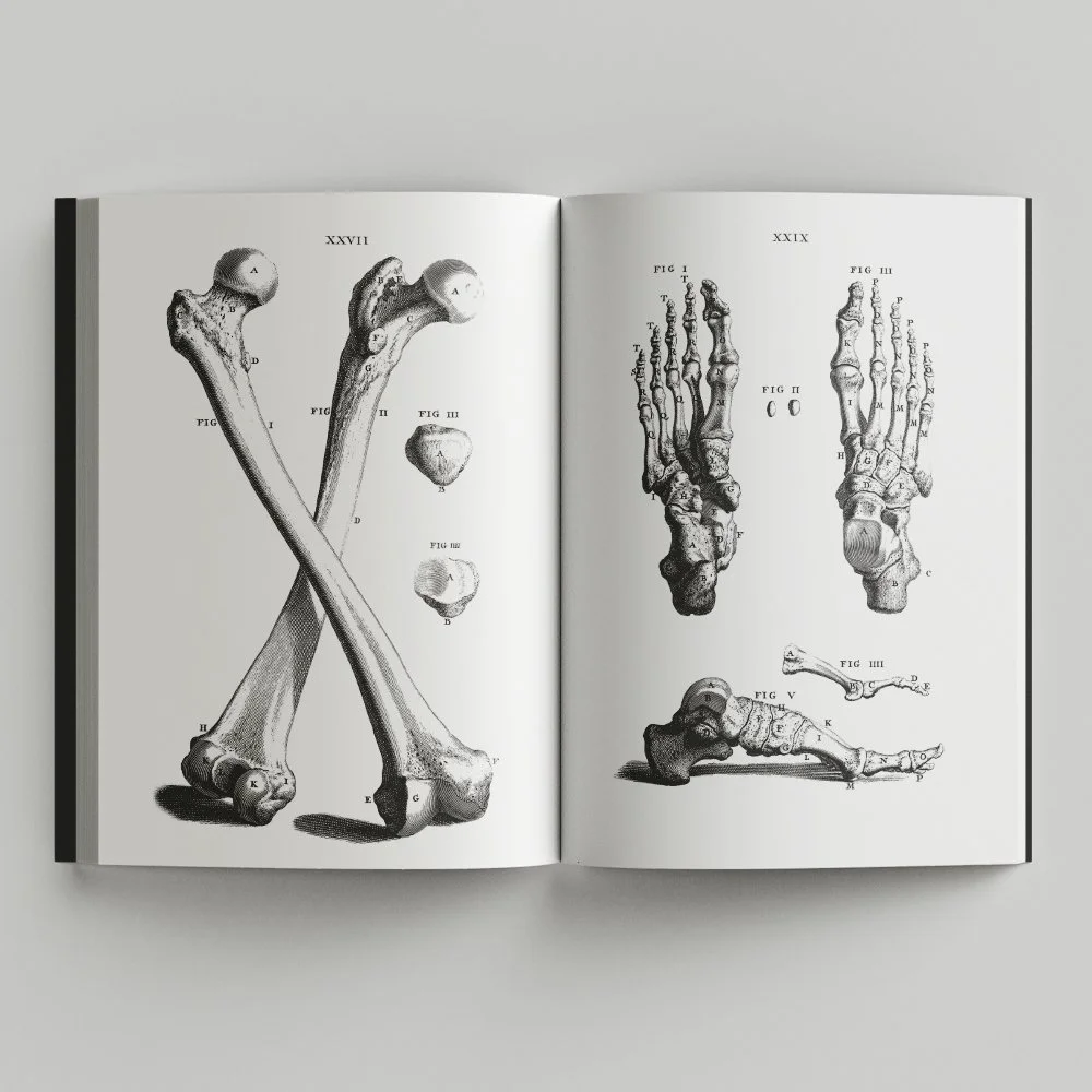 Free_Book_Mockup_7.jpg