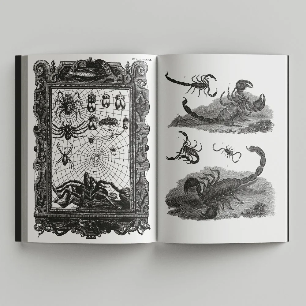 Free_Book_Mockup_6.jpg